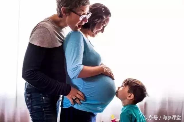 海参的九个基础常识，你知道几个？