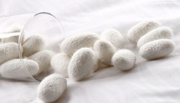 铓曚笣琚笉鑳芥檼锛熷ソ鐨勮殨涓濊涓嶆€曟檼锛? onerror=