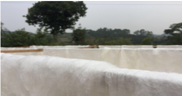 铓曚笣琚笉鑳芥檼锛熷ソ鐨勮殨涓濊涓嶆€曟檼锛? onerror=