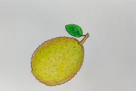 零基础轻松学会简笔画水果绘画 菠萝蜜！