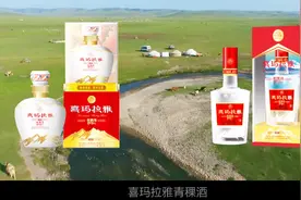 喜玛拉雅青稞酒宣传曲，好听的让你沉醉~视频封面