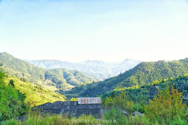 福建藏着一个千年迷你高山村，限量供应闻名八闽的顶级家酿黄酒