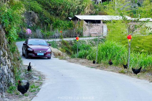 福建藏着一个千年迷你高山村，限量供应闻名八闽的顶级家酿黄酒