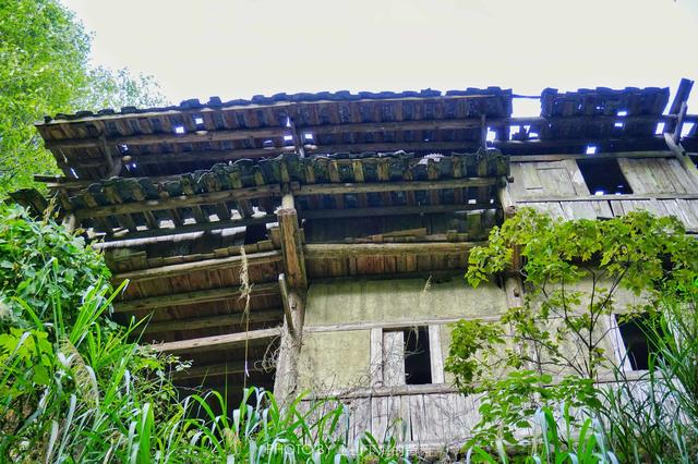 福建藏着一个千年迷你高山村，限量供应闻名八闽的顶级家酿黄酒