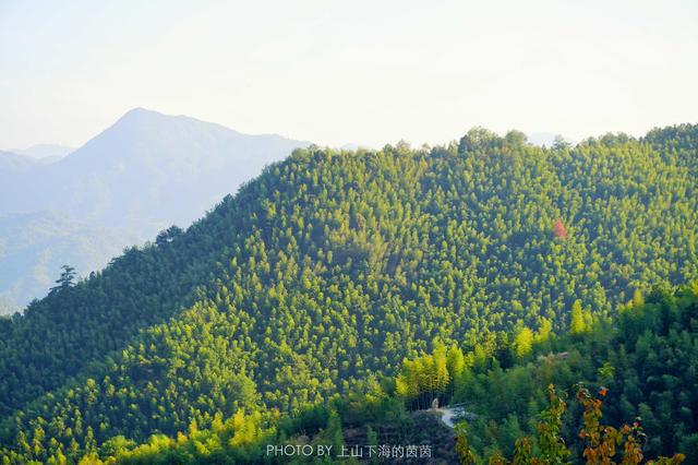 福建藏着一个千年迷你高山村，限量供应闻名八闽的顶级家酿黄酒