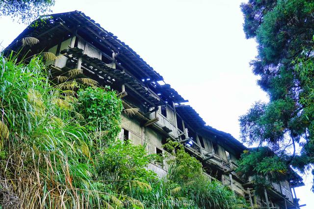 福建藏着一个千年迷你高山村，限量供应闻名八闽的顶级家酿黄酒