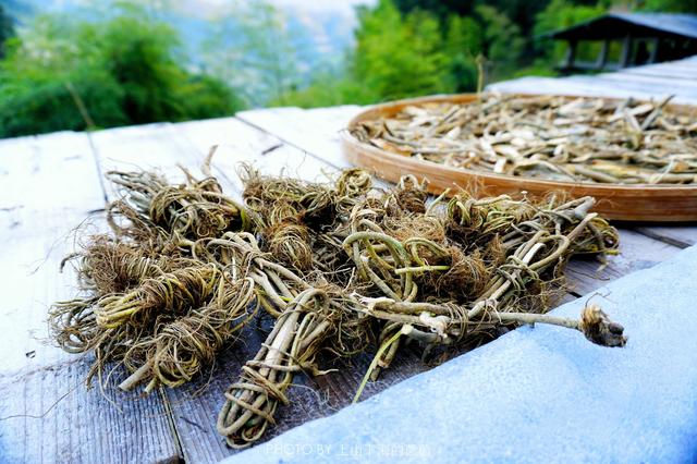 福建藏着一个千年迷你高山村，限量供应闻名八闽的顶级家酿黄酒