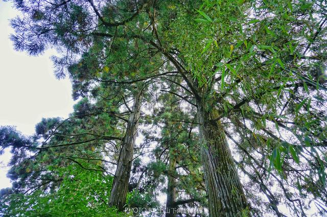 福建藏着一个千年迷你高山村，限量供应闻名八闽的顶级家酿黄酒