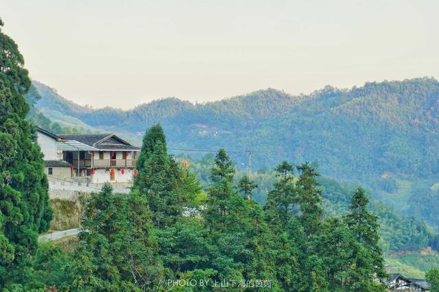 福建藏着一个千年迷你高山村，限量供应闻名八闽的顶级家酿黄酒