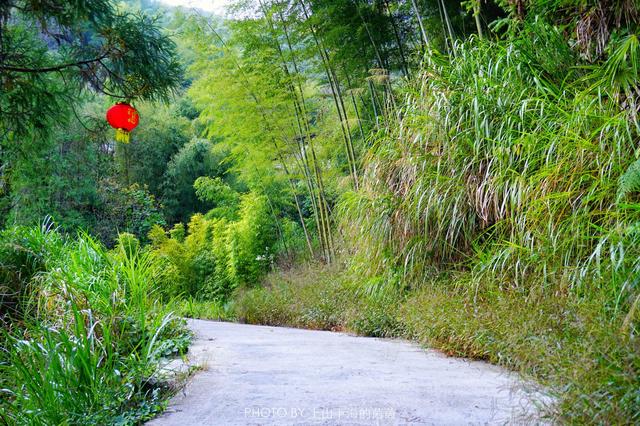 福建藏着一个千年迷你高山村，限量供应闻名八闽的顶级家酿黄酒