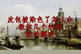 教你几个妙招，轻松解决皮包被染色了！视频封面