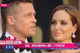 朱莉与皮特法国办私人婚礼，六子女见证视频封面