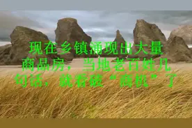 现在乡镇涌现出大量商品房，当地老百姓几句话，就看破“商机”了视频封面