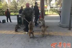 男子南二环耍猴引围观 小猴翻跟头捡帽子逗乐路人图片