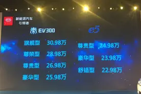 比亚迪秦EV300/e5上市 售22.98-30.98万图片