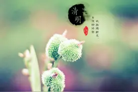 宿迁清明节出行全攻略 出行切记避开这些高速路段！图片