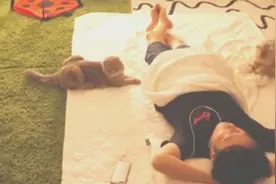 主人和猫咪睡一个房间，视频拍下猫咪一晚是怎么过的？