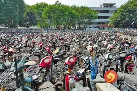 深圳10天查扣违法电动三轮17975辆 上千快递员辞职图片