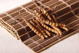 盘点冬虫夏草、玛卡、三株中国保健品的“生死时速”图片