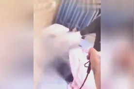 男朋友老在你面前吸烟，怎么办？视频教你如何让男朋友乖乖戒烟视频封面