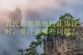 农民签宅基地转让协议时，要注意哪些问题？视频封面