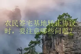 农民签宅基地转让协议时，要注意哪些问题？视频封面