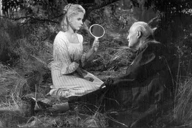 美食 | 草莓醉了图片