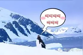 美！去南极看企鹅，三个台州女人组团寻找诗和远方图片
