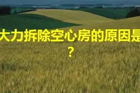 农村大力拆除空心房的原因是什么？