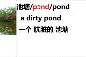 英语单词应该这样来记忆！池塘pond/pɔnd/