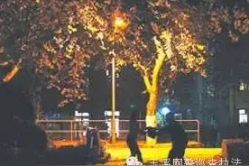 电动车防盗常识图片