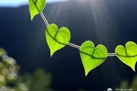 微文| 幸福就在身边图片