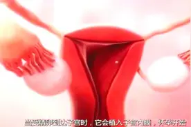 3D动画演示女人排卵与月经原理过程，慨叹生命的神奇伟大.mp4