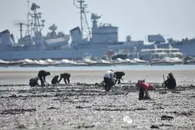 城事 | 青岛天文大潮退潮大面积海滩露出 市民扎堆挖海鲜图片