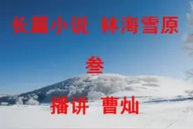 曹灿播讲的长篇小说：林海雪原（叁）视频封面