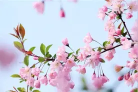 海南人的清明：一张冥纸寄遥思图片
