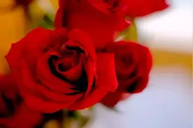 情话｜生活需要仪式感，我们需要纪念日图片