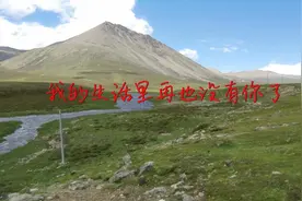我的生活里再也没有你了视频封面