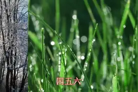 儿童歌曲-一二三-爬上山 四五六 翻跟头视频封面