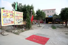 隐在番禺令人惊喜的农庄图片