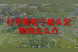 行李箱轮子，被头发缠绕怎么办？教你几招