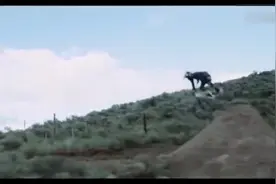 真人版疯狂山地自行车视频封面