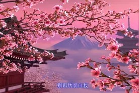 《从此我该怎么过》阿龙正罡视频封面