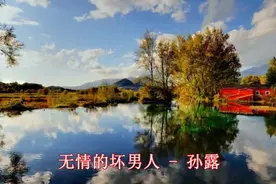 孙露-无情的坏男人-也是伤害我最深的人视频封面