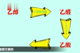 专家讲解喝酒脸越喝越白好，还是越喝越红好？视频封面