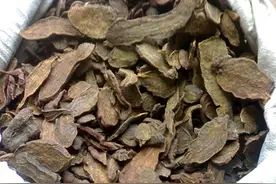 中药材发霉怎么办 正确处理发霉中药材方法图片