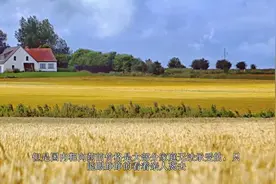 古巴政府医疗服务机构SMC，将为国内癌症患者提供非小肺癌疫苗！视频封面
