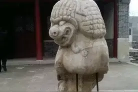 看一次笑一次，哥们你是要闹哪样呀.......图片