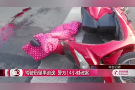 驾驶员肇事逃逸 警方14小时破案视频封面