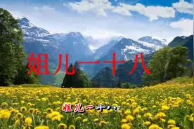 姐儿一十八，好似一朵花